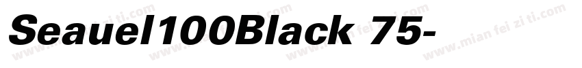 Seauel100Black 75字体转换